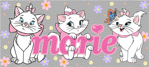 16oz Latest Bestseller-C 5563